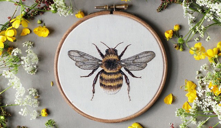 aceunique的个人主页（封面预览） - 主页封面设置 - 站酷设计师aceunique原创素材 - 站酷ZCOOL