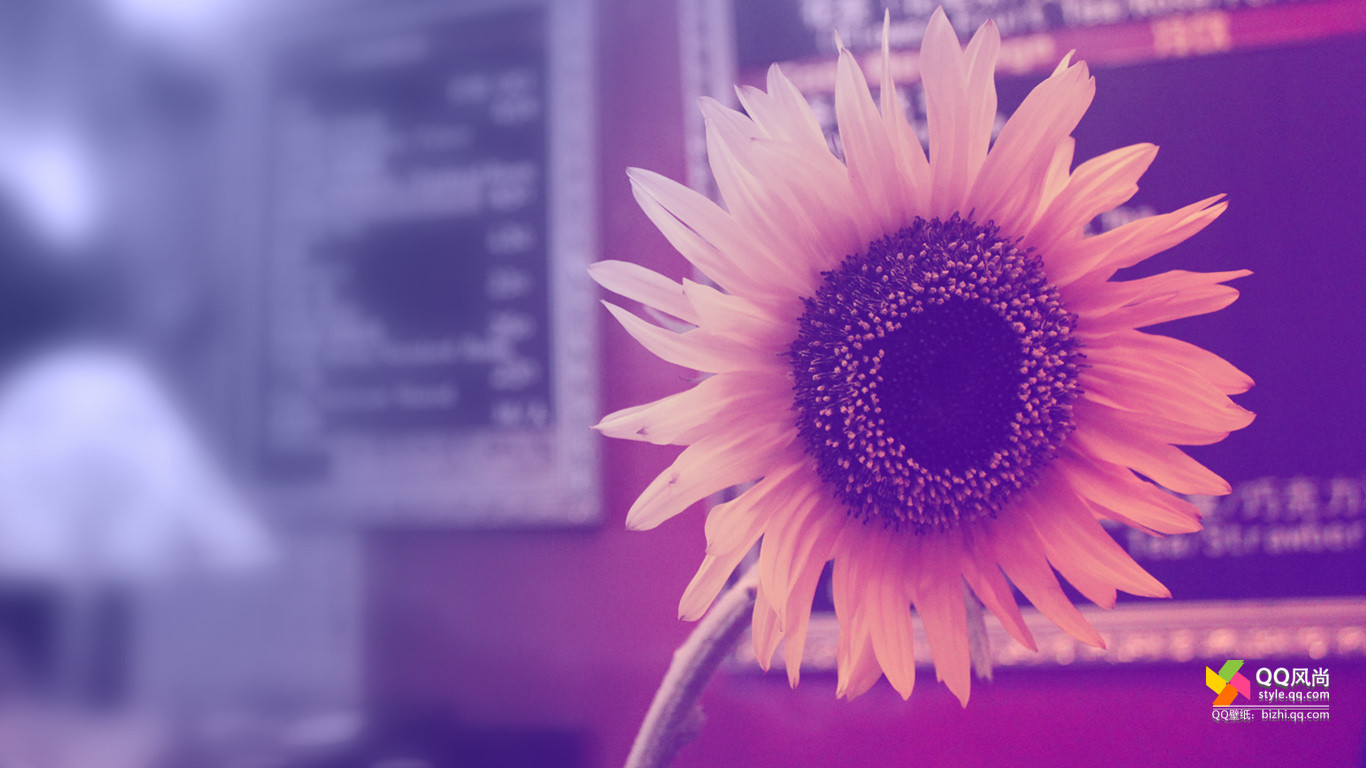 lcyself的个人主页（封面预览） - 主页封面设置 - 站酷设计师lcyself原创素材 - 站酷ZCOOL