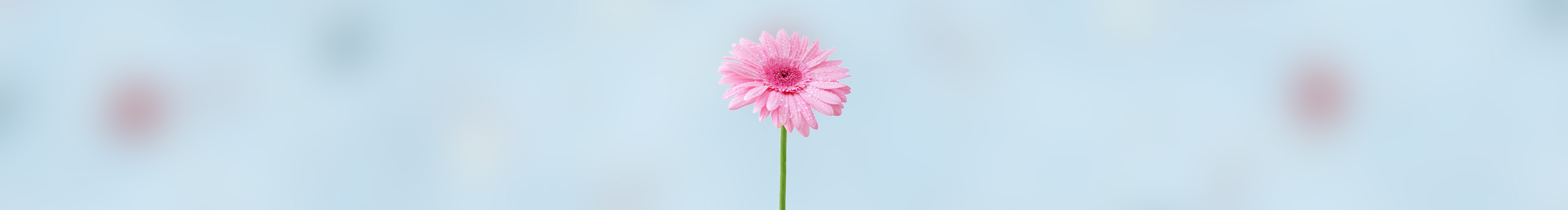 Emotional夏沫的个人主页（封面预览） - 主页封面设置 - 站酷设计师Emotional夏沫原创素材 - 站酷ZCOOL