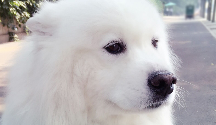 xiandaor的个人主页（封面预览） - 主页封面设置 - 站酷设计师xiandaor原创素材 - 站酷ZCOOL