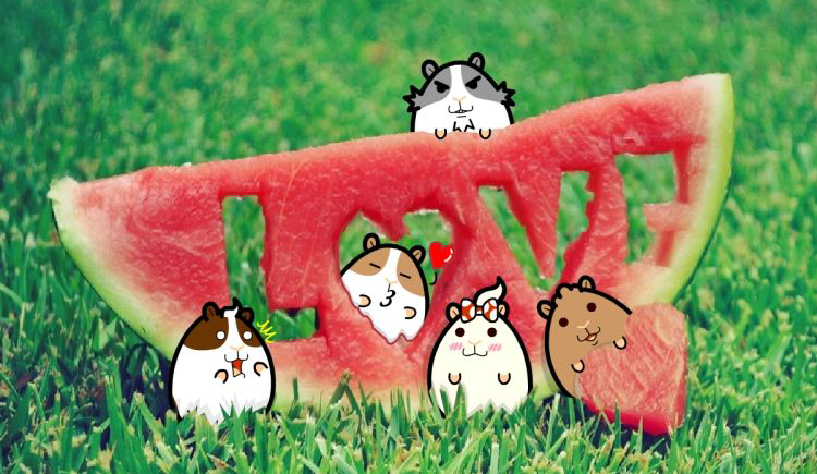 柠檬人生的个人主页（封面预览） - 主页封面设置 - 站酷设计师柠檬人生原创素材 - 站酷ZCOOL