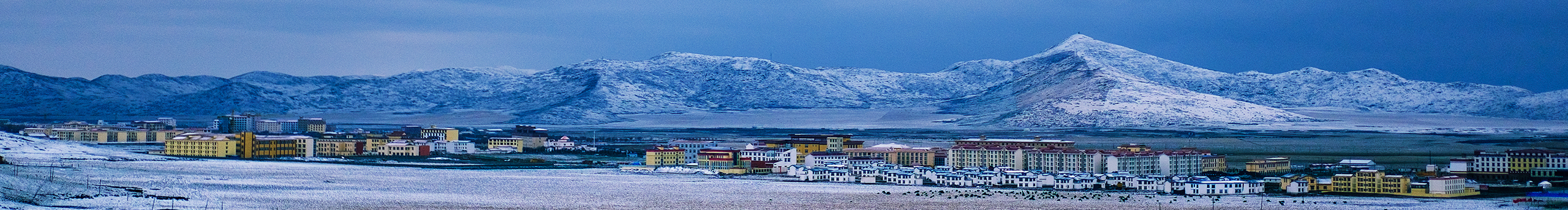 李莫愁00的个人主页（封面预览） - 主页封面设置 - 站酷设计师李莫愁00原创素材 - 站酷ZCOOL