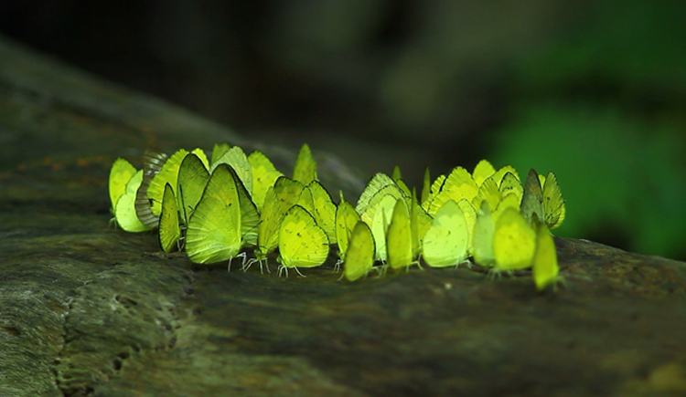 90日出的地方的個(gè)人主頁(yè)（封面預(yù)覽） - 主頁(yè)封面設(shè)置 - 站酷設(shè)計(jì)師90日出的地方原創(chuàng)素材 - 站酷ZCOOL
