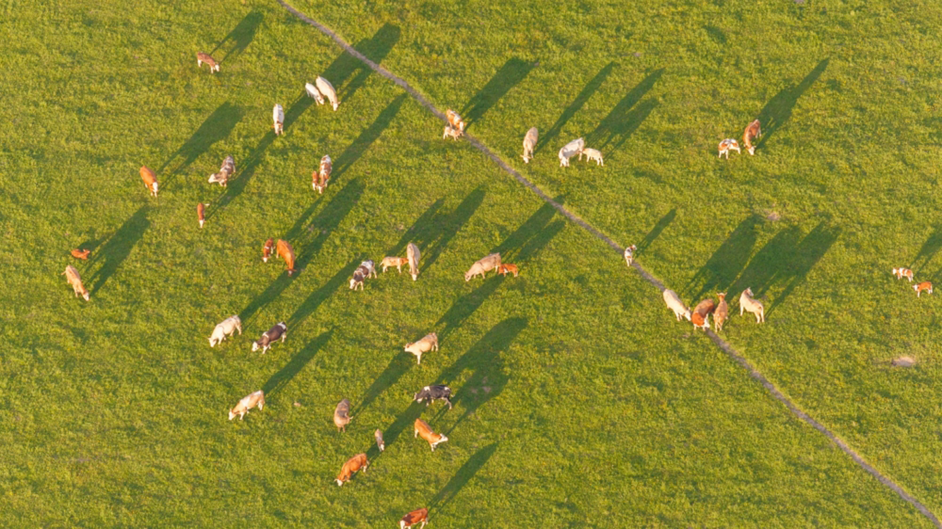 ppddsun611的个人主页（封面预览） - 主页封面设置 - 站酷设计师ppddsun611原创素材 - 站酷ZCOOL