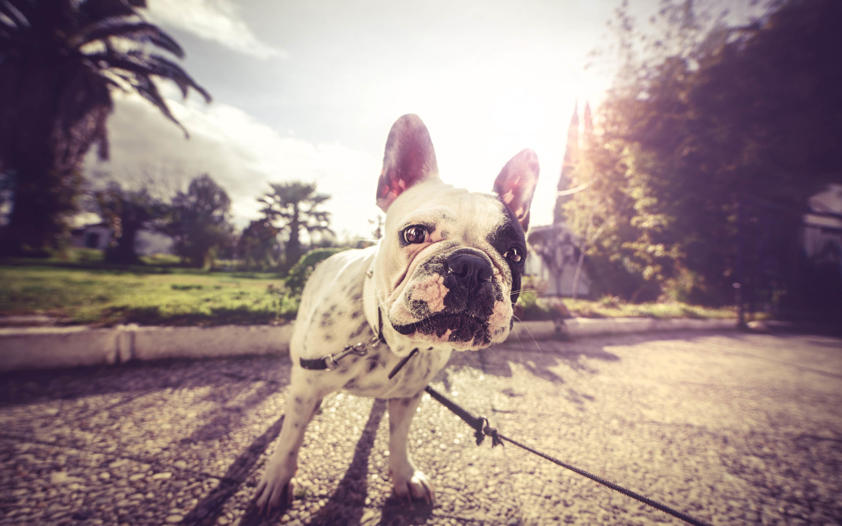 ROMO_YANG的个人主页（封面预览） - 主页封面设置 - 站酷设计师ROMO_YANG原创素材 - 站酷ZCOOL