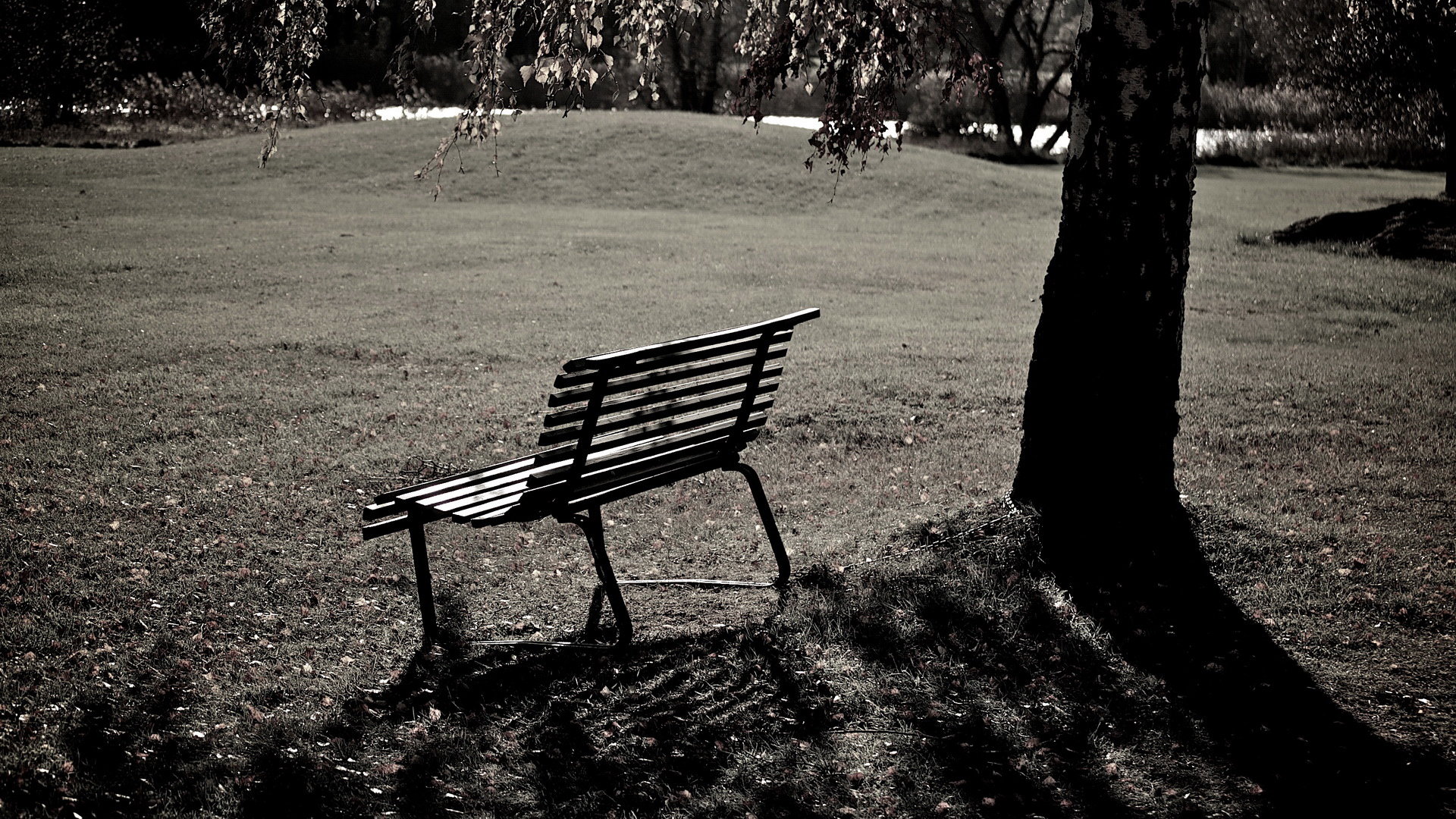 果动公元的个人主页（封面预览） - 主页封面设置 - 站酷设计师果动公元原创素材 - 站酷ZCOOL