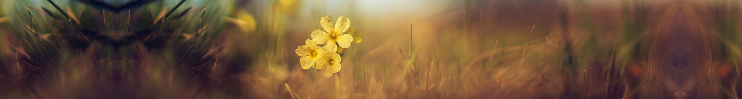 玉翁的個人主頁（封面預覽） - 主頁封面設(shè)置 - 站酷設(shè)計師玉翁原創(chuàng)素材 - 站酷ZCOOL