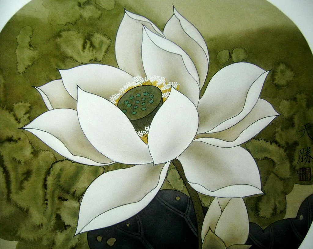 张若初的个人主页（封面预览） - 主页封面设置 - 站酷设计师张若初原创素材 - 站酷ZCOOL