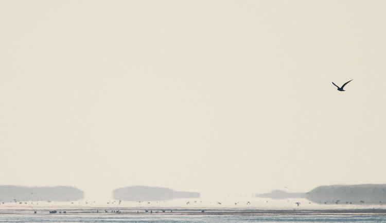 z空vv的個人主頁（封面預(yù)覽） - 主頁封面設(shè)置 - 站酷設(shè)計師z空vv原創(chuàng)素材 - 站酷ZCOOL