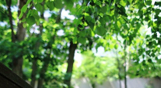 果果果子s的個人主頁（封面預(yù)覽） - 主頁封面設(shè)置 - 站酷設(shè)計師果果果子s原創(chuàng)素材 - 站酷ZCOOL