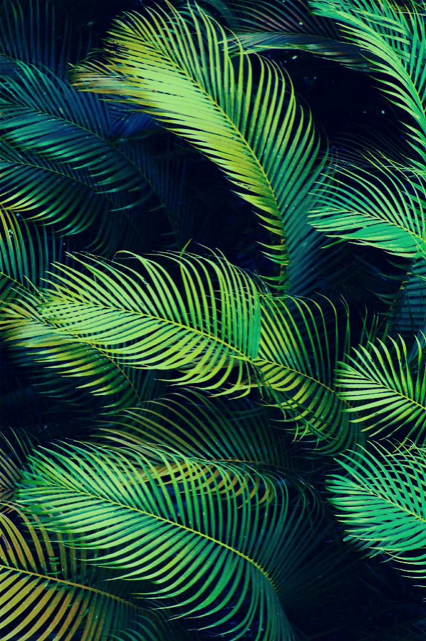 LYKlily的个人主页（封面预览） - 主页封面设置 - 站酷设计师LYKlily原创素材 - 站酷ZCOOL