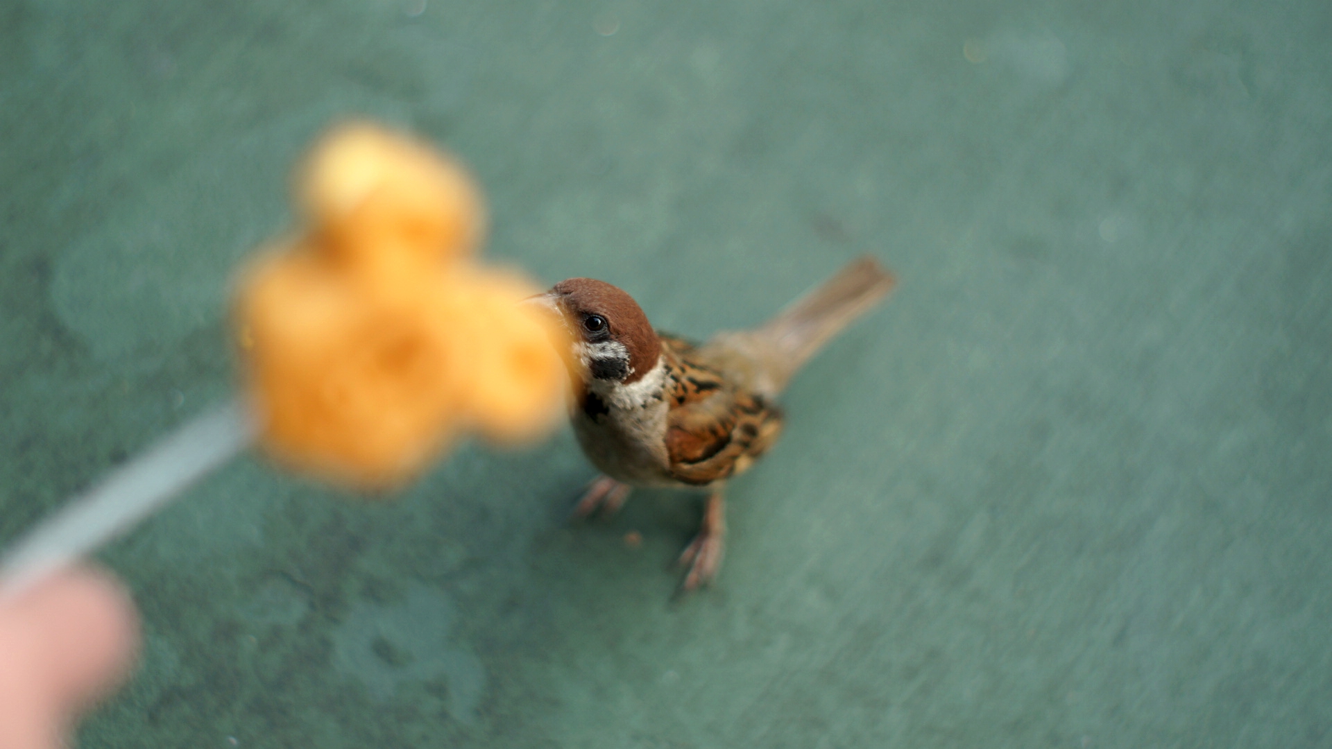 kikinight的个人主页（封面预览） - 主页封面设置 - 站酷设计师kikinight原创素材 - 站酷ZCOOL