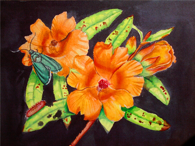 447355788lay的个人主页（封面预览） - 主页封面设置 - 站酷设计师447355788lay原创素材 - 站酷ZCOOL