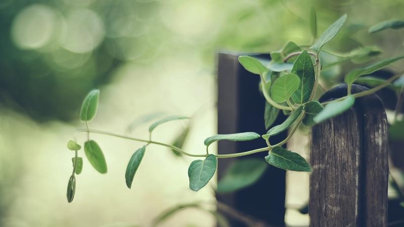 劉昱蘭的個(gè)人主頁（封面預(yù)覽） - 主頁封面設(shè)置 - 站酷設(shè)計(jì)師劉昱蘭原創(chuàng)素材 - 站酷ZCOOL