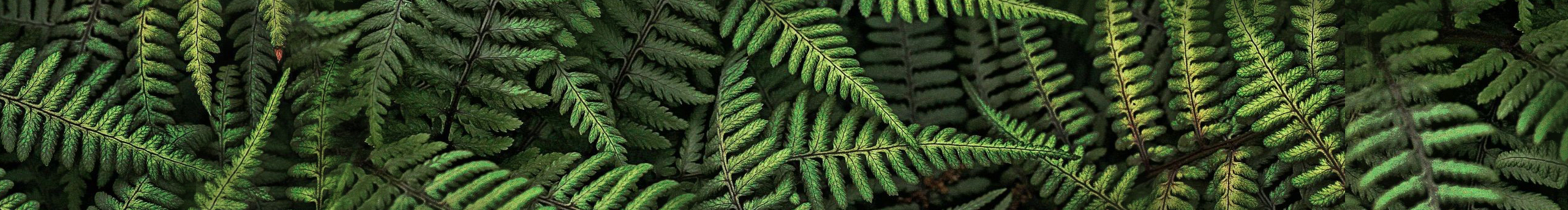 Isheily的个人主页（封面预览） - 主页封面设置 - 站酷设计师Isheily原创素材 - 站酷ZCOOL