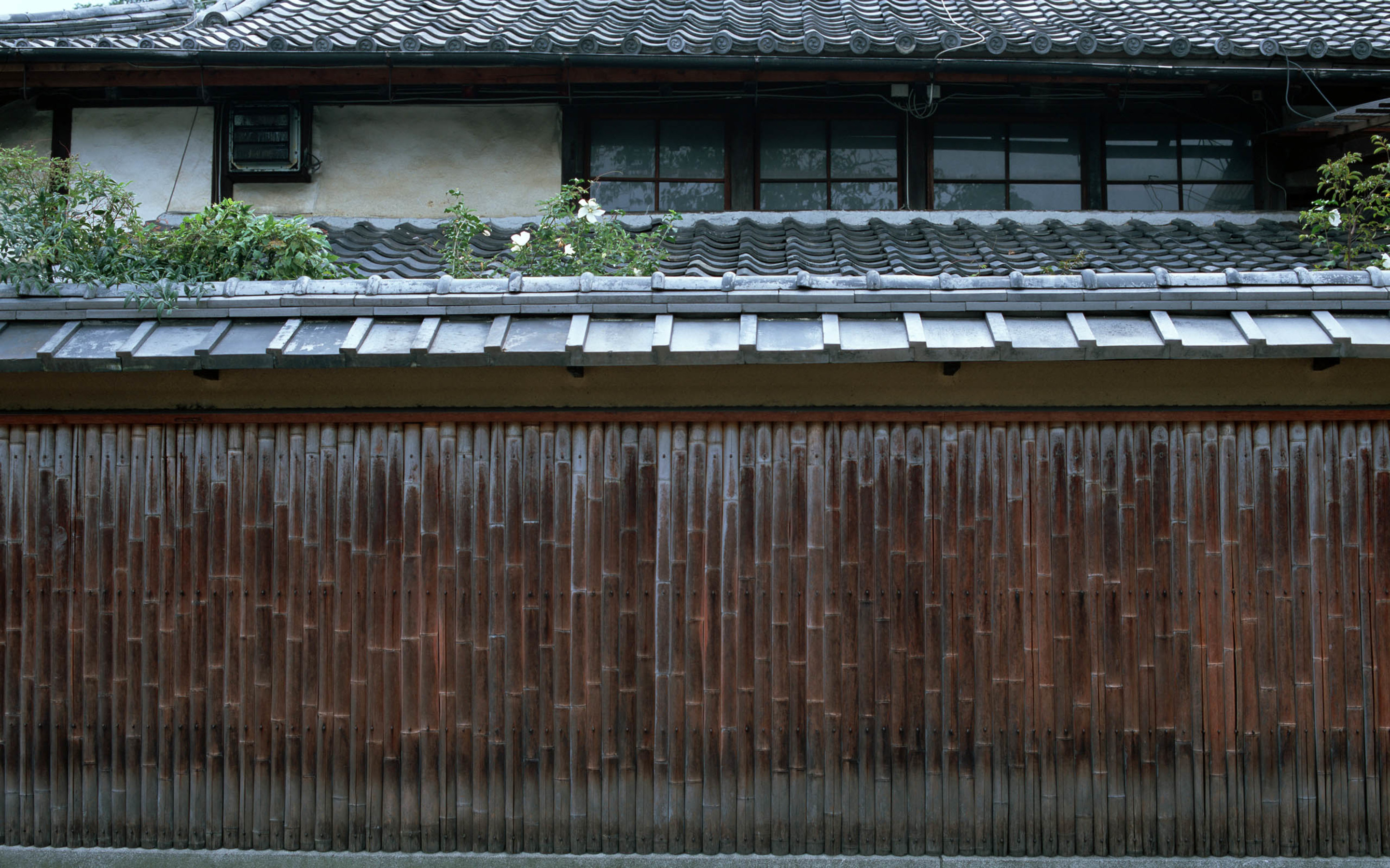 禮帽下的丑貓的個(gè)人主頁(yè)（封面預(yù)覽） - 主頁(yè)封面設(shè)置 - 站酷設(shè)計(jì)師禮帽下的丑貓?jiān)瓌?chuàng)素材 - 站酷ZCOOL