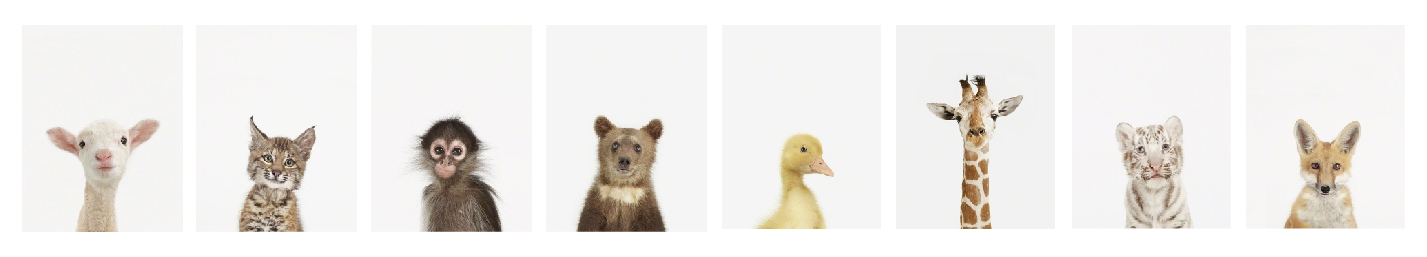 長(zhǎng)頸鹿脖子長(zhǎng)長(zhǎng)長(zhǎng)的個(gè)人主頁(yè)（封面預(yù)覽） - 主頁(yè)封面設(shè)置 - 站酷設(shè)計(jì)師長(zhǎng)頸鹿脖子長(zhǎng)長(zhǎng)長(zhǎng)原創(chuàng)素材 - 站酷ZCOOL