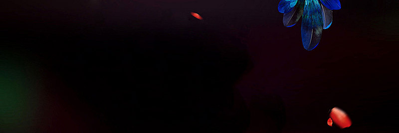 女兆木木的個(gè)人主頁（封面預(yù)覽） - 主頁封面設(shè)置 - 站酷設(shè)計(jì)師女兆木木原創(chuàng)素材 - 站酷ZCOOL