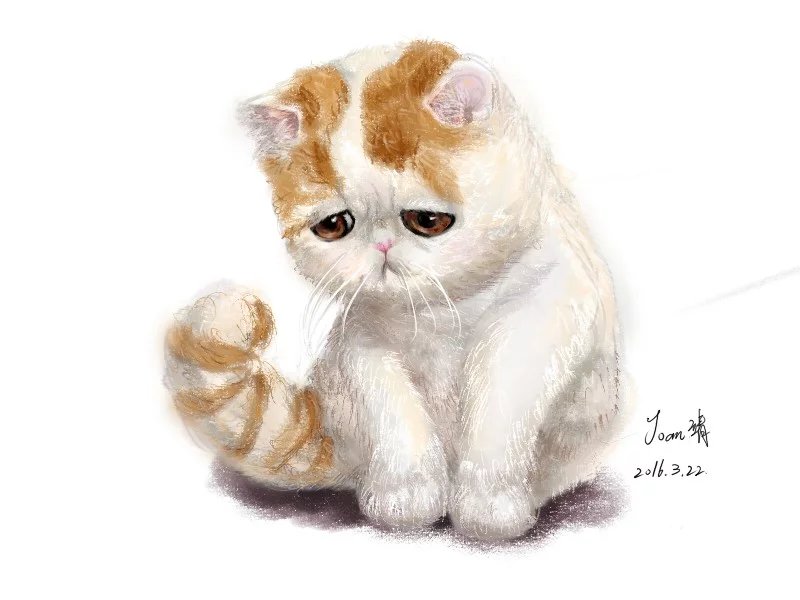 Joan靖的個(gè)人主頁(yè)（封面預(yù)覽） - 主頁(yè)封面設(shè)置 - 站酷設(shè)計(jì)師Joan靖原創(chuàng)素材 - 站酷ZCOOL