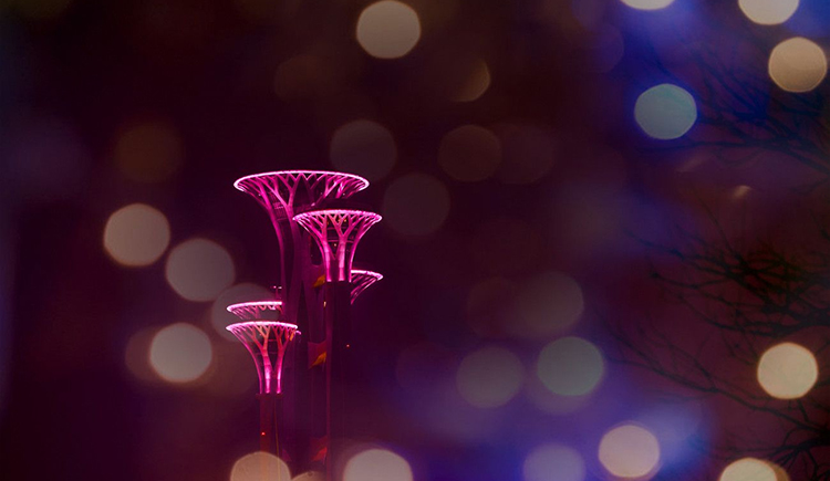 xiaofuwj的個(gè)人主頁(yè)（封面預(yù)覽） - 主頁(yè)封面設(shè)置 - 站酷設(shè)計(jì)師xiaofuwj原創(chuàng)素材 - 站酷ZCOOL