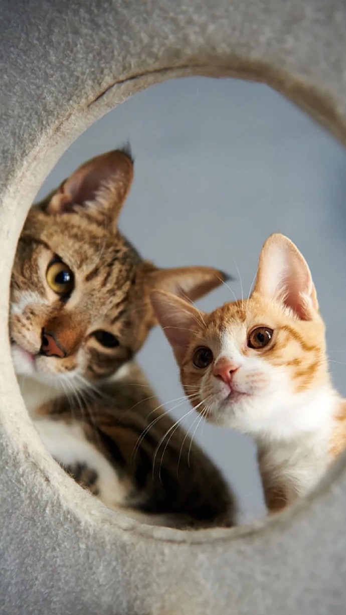 云中不知处的个人主页（封面预览） - 主页封面设置 - 站酷设计师云中不知处原创素材 - 站酷ZCOOL