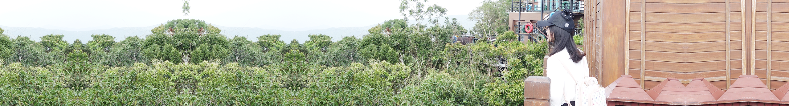 七色夢的個人主頁（封面預覽） - 主頁封面設(shè)置 - 站酷設(shè)計師七色夢原創(chuàng)素材 - 站酷ZCOOL