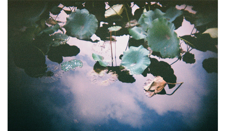 一颗马荳的个人主页（封面预览） - 主页封面设置 - 站酷设计师一颗马荳原创素材 - 站酷ZCOOL