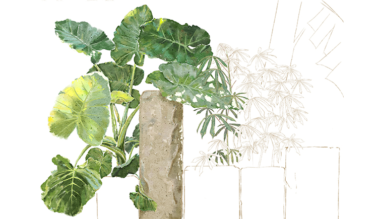 櫻仔_的個人主頁（封面預(yù)覽） - 主頁封面設(shè)置 - 站酷設(shè)計師櫻仔_原創(chuàng)素材 - 站酷ZCOOL