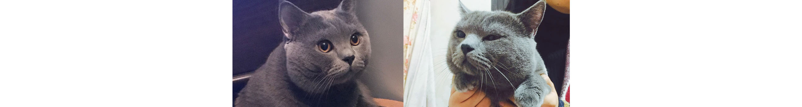 容我不懂的個人主頁（封面預覽） - 主頁封面設置 - 站酷設計師容我不懂原創(chuàng)素材 - 站酷ZCOOL