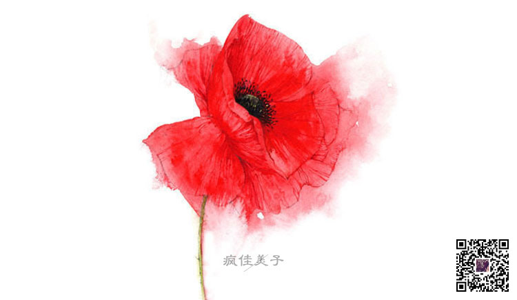 瘋佳美子的個(gè)人主頁(yè)（封面預(yù)覽） - 主頁(yè)封面設(shè)置 - 站酷設(shè)計(jì)師瘋佳美子原創(chuàng)素材 - 站酷ZCOOL