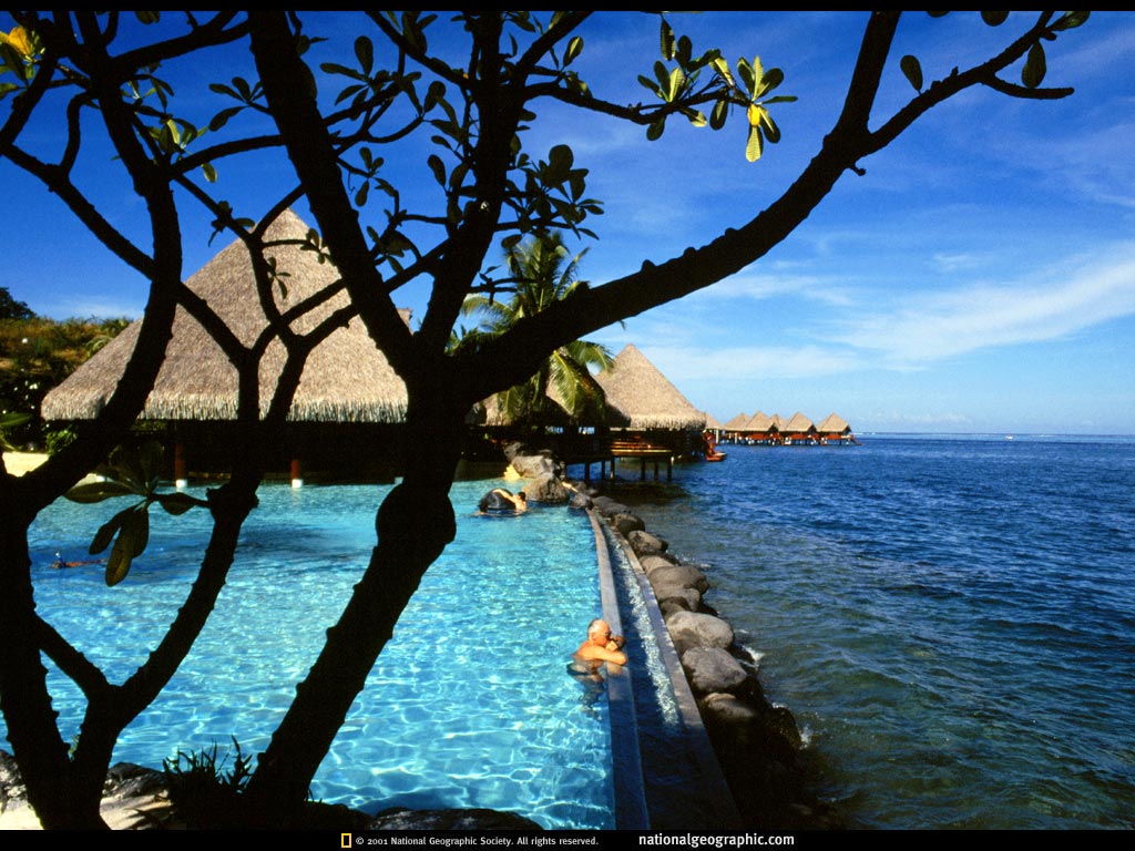 畫畫的豆媽的個人主頁（封面預(yù)覽） - 主頁封面設(shè)置 - 站酷設(shè)計師畫畫的豆媽原創(chuàng)素材 - 站酷ZCOOL