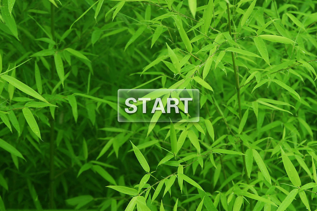 江邊一碗水的個人主頁（封面預(yù)覽） - 主頁封面設(shè)置 - 站酷設(shè)計師江邊一碗水原創(chuàng)素材 - 站酷ZCOOL