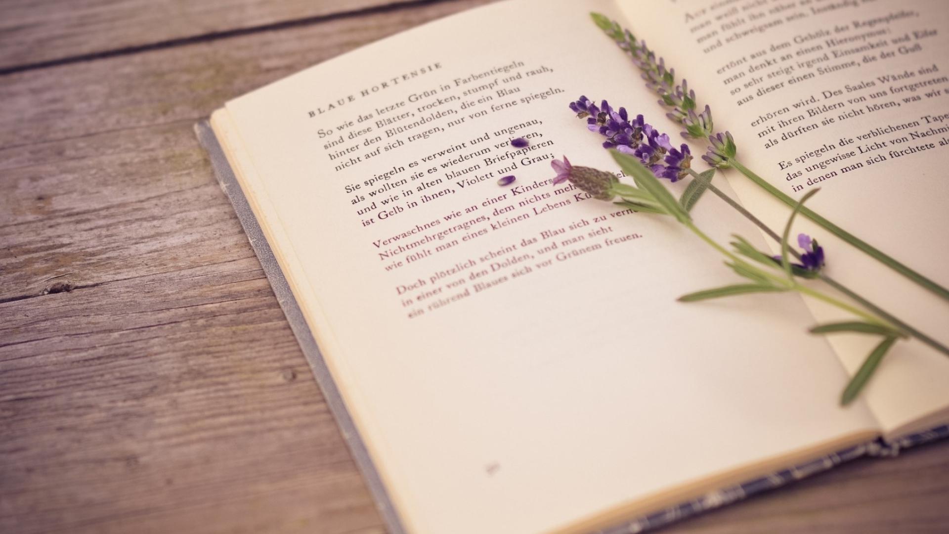 1181473375的个人主页（封面预览） - 主页封面设置 - 站酷设计师1181473375原创素材 - 站酷ZCOOL