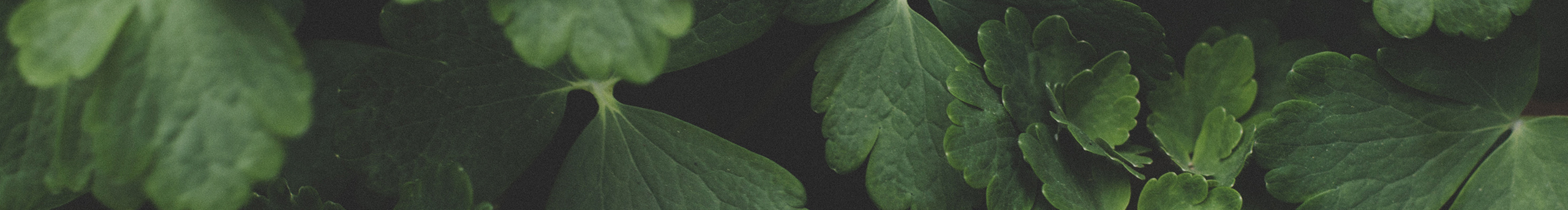 安花酱的个人主页（封面预览） - 主页封面设置 - 站酷设计师安花酱原创素材 - 站酷ZCOOL