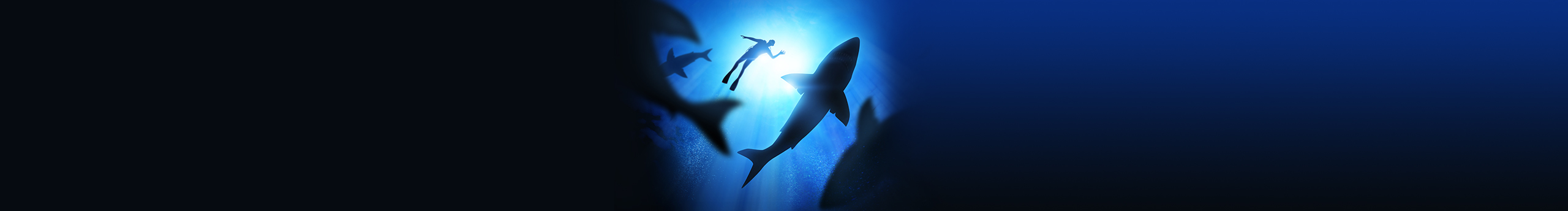 ZH魔魚的個(gè)人主頁（封面預(yù)覽） - 主頁封面設(shè)置 - 站酷設(shè)計(jì)師ZH魔魚原創(chuàng)素材 - 站酷ZCOOL