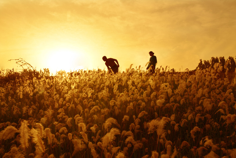 杨小饭的个人主页（封面预览） - 主页封面设置 - 站酷设计师杨小饭原创素材 - 站酷ZCOOL