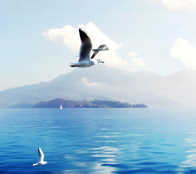 心如止水11的个人主页（封面预览） - 主页封面设置 - 站酷设计师心如止水11原创素材 - 站酷ZCOOL