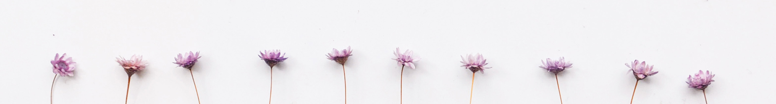 DYP666的個(gè)人主頁(yè)（封面預(yù)覽） - 主頁(yè)封面設(shè)置 - 站酷設(shè)計(jì)師DYP666原創(chuàng)素材 - 站酷ZCOOL