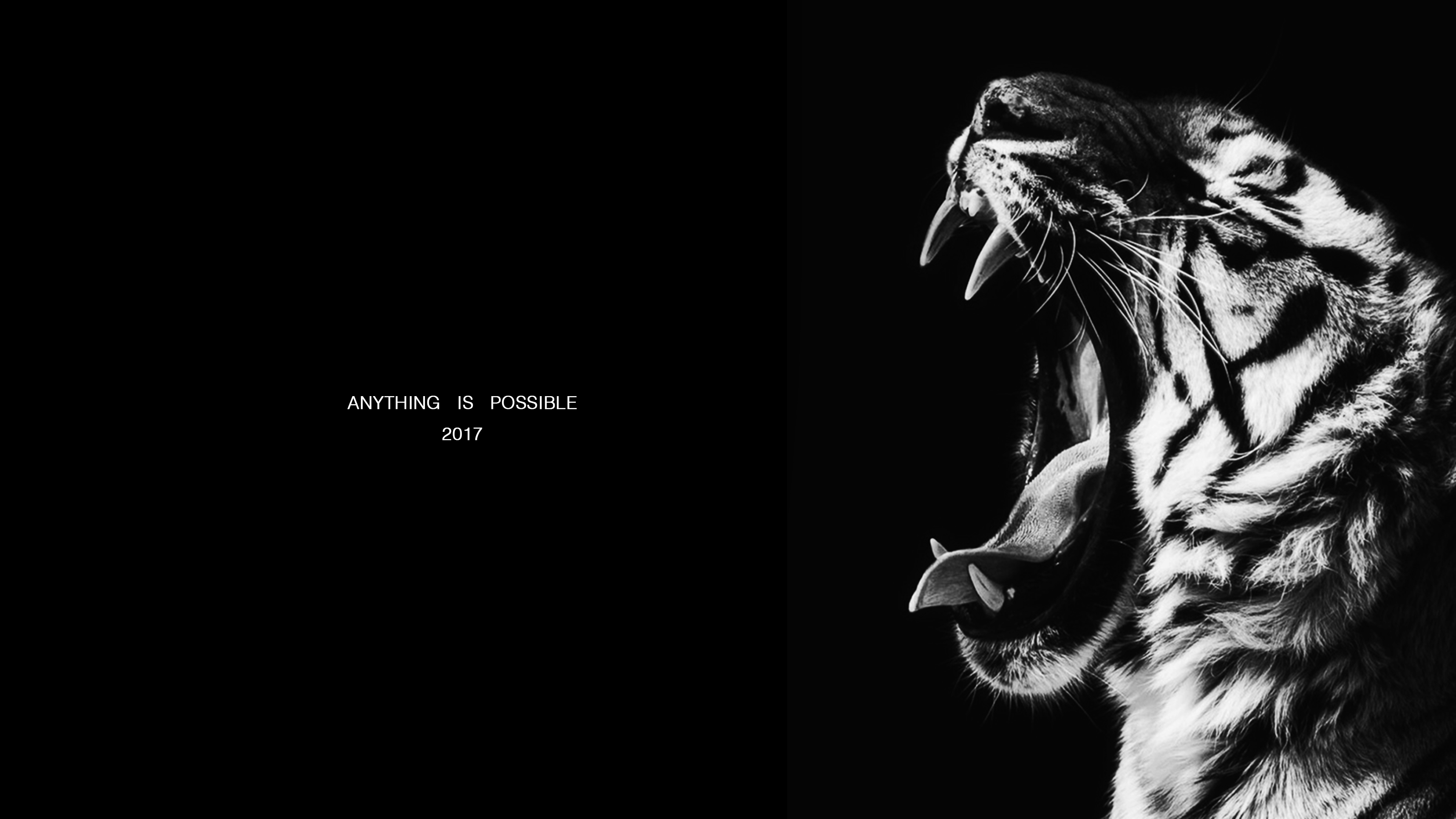 冯迟允的个人主页（封面预览） - 主页封面设置 - 站酷设计师冯迟允原创素材 - 站酷ZCOOL