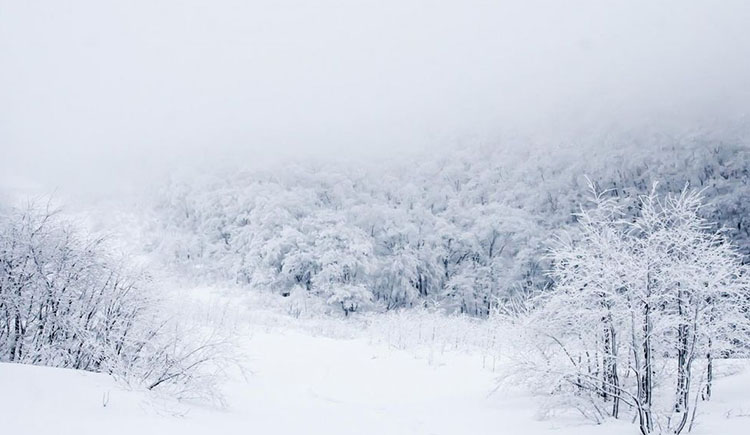 anjingjing的個人主頁（封面預(yù)覽） - 主頁封面設(shè)置 - 站酷設(shè)計師anjingjing原創(chuàng)素材 - 站酷ZCOOL