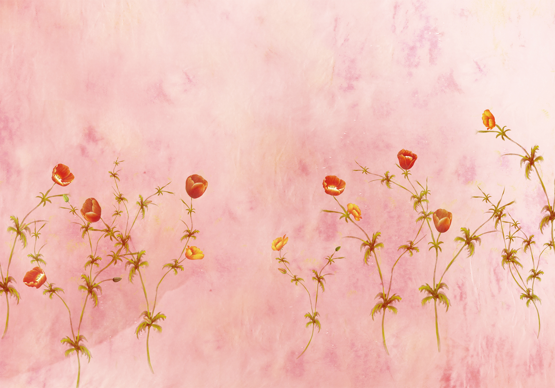 丶阿宝的个人主页（封面预览） - 主页封面设置 - 站酷设计师丶阿宝原创素材 - 站酷ZCOOL