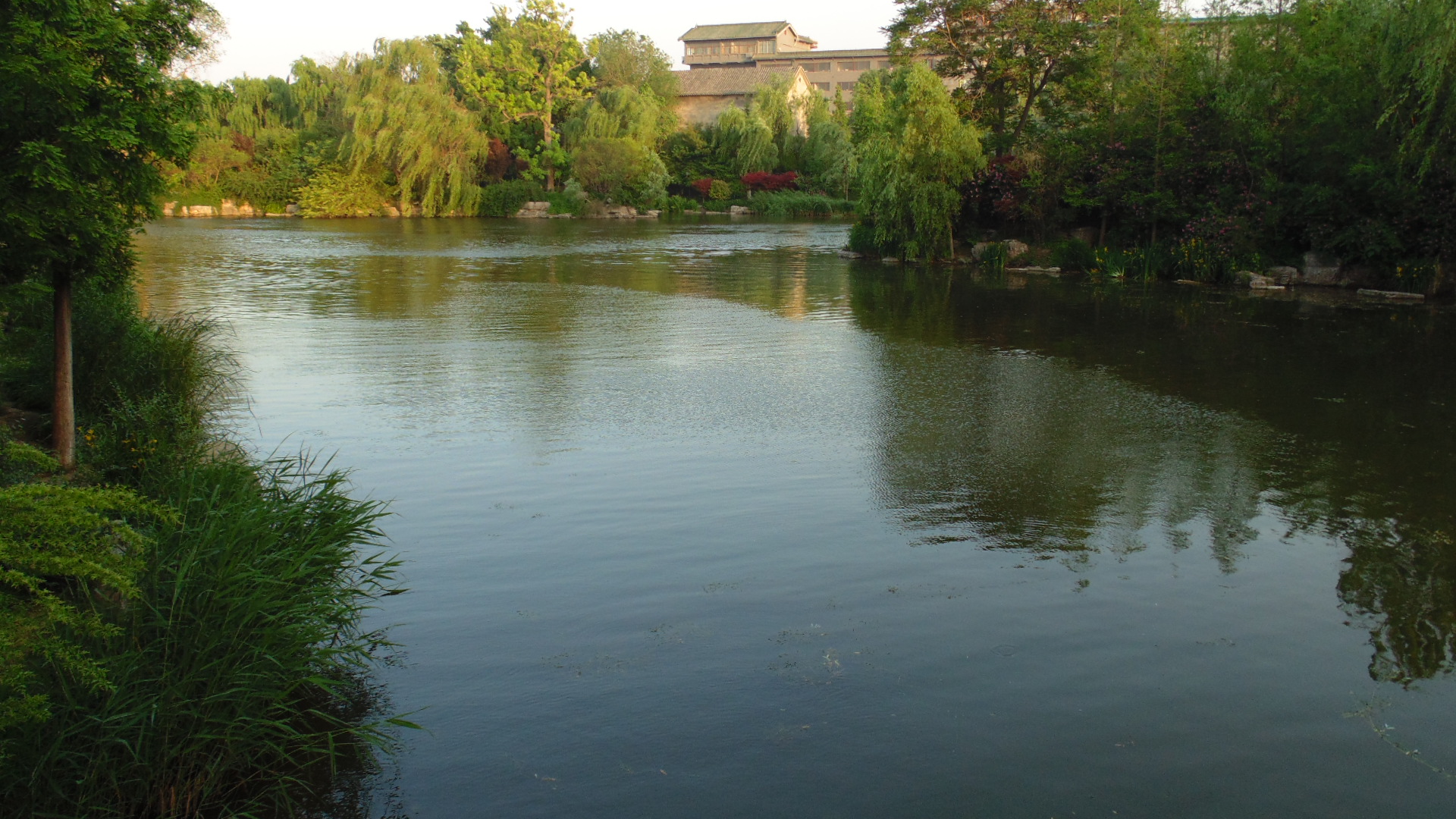 子聿若何的個(gè)人主頁（封面預(yù)覽） - 主頁封面設(shè)置 - 站酷設(shè)計(jì)師子聿若何原創(chuàng)素材 - 站酷ZCOOL