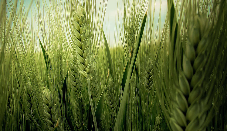 醉落夕风的个人主页（封面预览） - 主页封面设置 - 站酷设计师醉落夕风原创素材 - 站酷ZCOOL