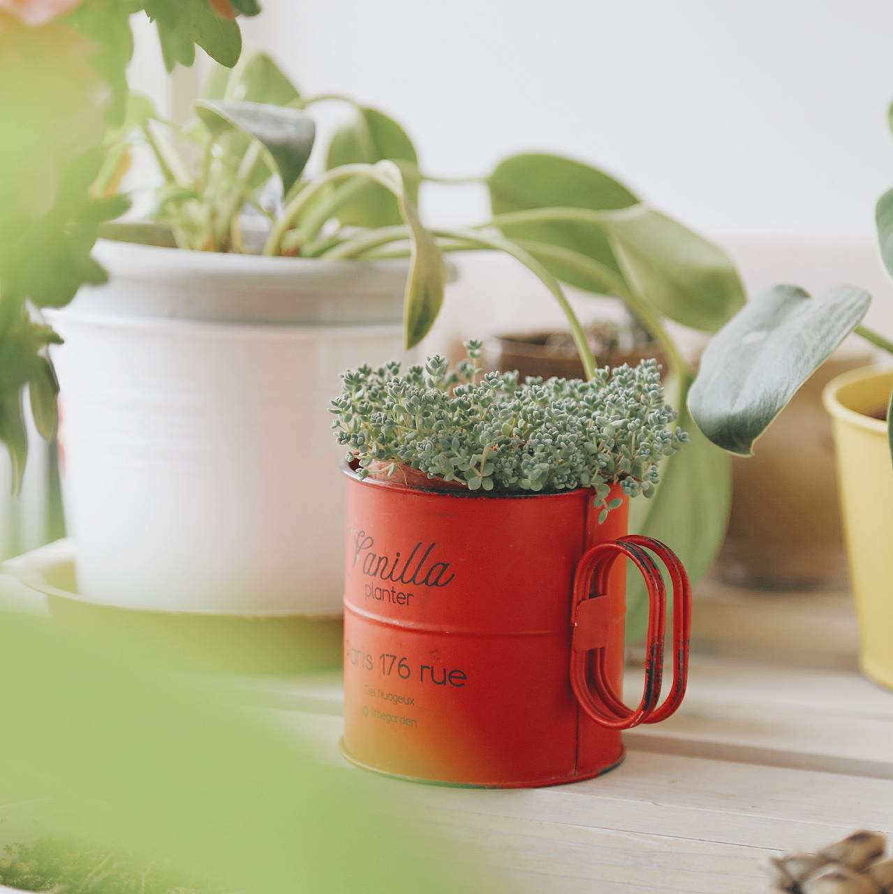 了了徐Xu的个人主页（封面预览） - 主页封面设置 - 站酷设计师了了徐Xu原创素材 - 站酷ZCOOL