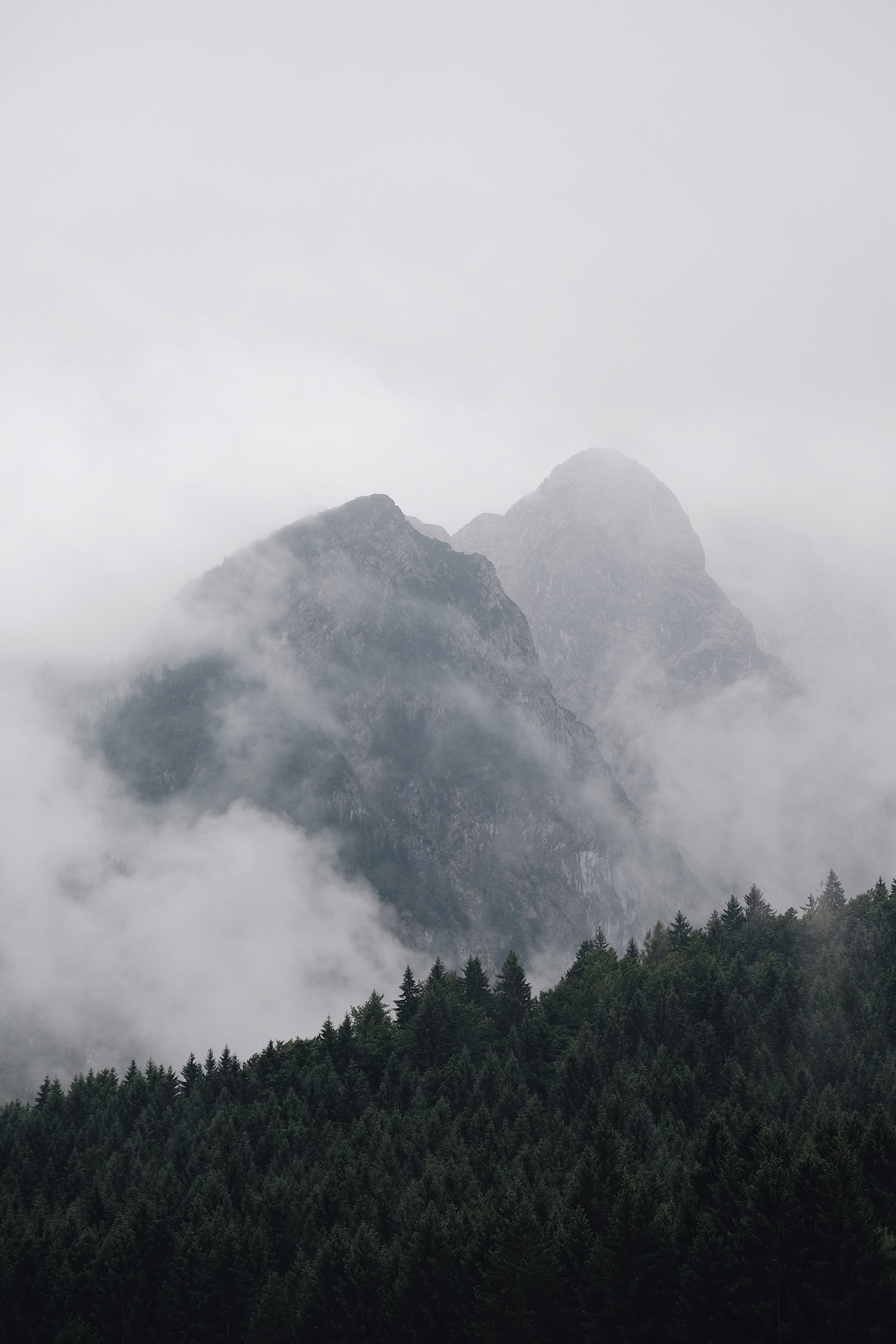 舟小山的个人主页（封面预览） - 主页封面设置 - 站酷设计师舟小山原创素材 - 站酷ZCOOL