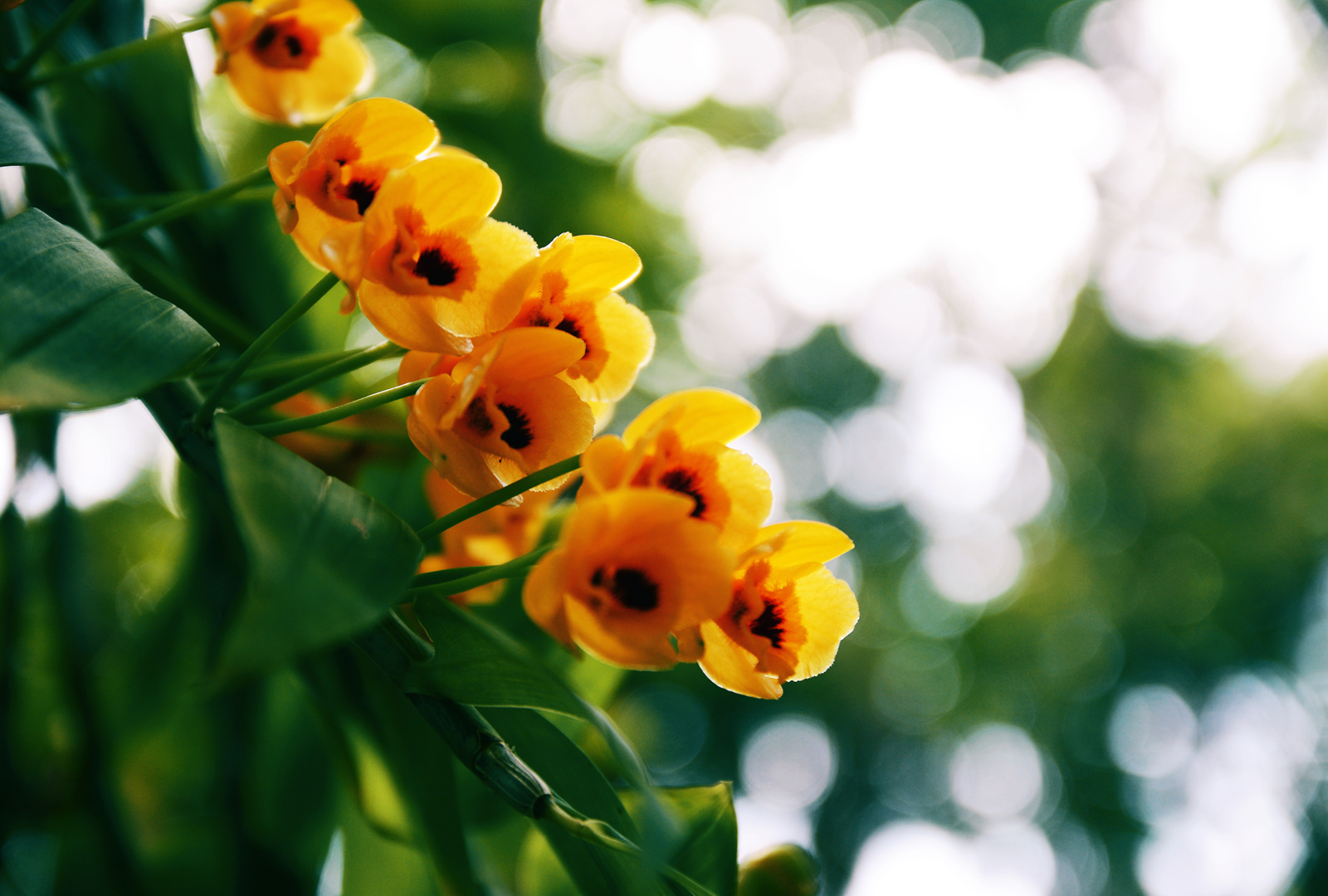 坐上高铁去台北的个人主页（封面预览） - 主页封面设置 - 站酷设计师坐上高铁去台北原创素材 - 站酷ZCOOL