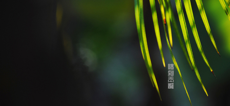 玉匠安闖的個(gè)人主頁(yè)（封面預(yù)覽） - 主頁(yè)封面設(shè)置 - 站酷設(shè)計(jì)師玉匠安闖原創(chuàng)素材 - 站酷ZCOOL