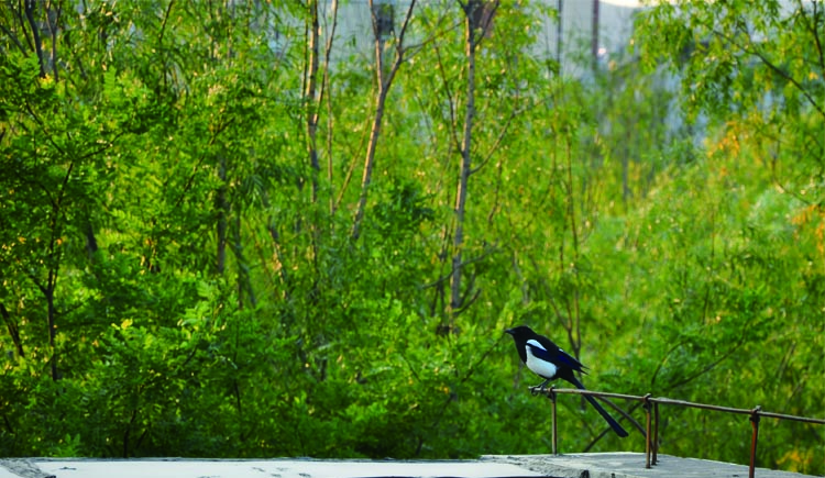 遥望腾格里的个人主页（封面预览） - 主页封面设置 - 站酷设计师遥望腾格里原创素材 - 站酷ZCOOL