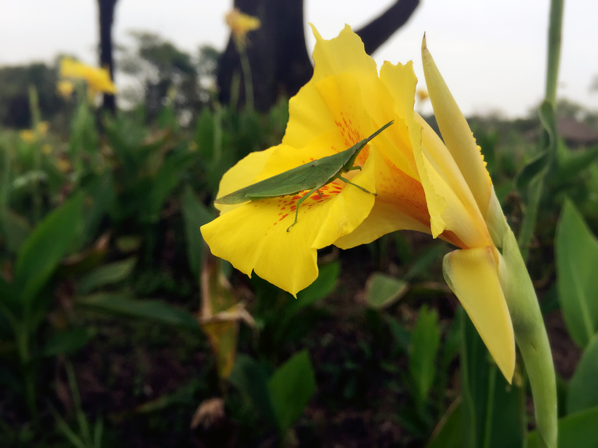 熹88的个人主页（封面预览） - 主页封面设置 - 站酷设计师熹88原创素材 - 站酷ZCOOL