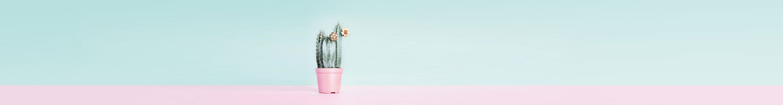 迷宫耳畔的个人主页（封面预览） - 主页封面设置 - 站酷设计师迷宫耳畔原创素材 - 站酷ZCOOL